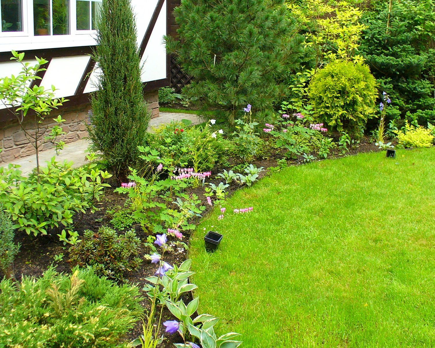 Проект Жуковка